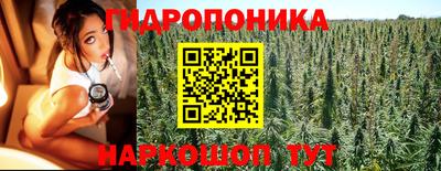 ПСИЛОЦИБИНОВЫЕ ГРИБЫ Аргун