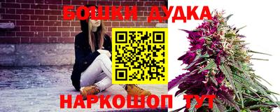 ПСИЛОЦИБИНОВЫЕ ГРИБЫ Аргун