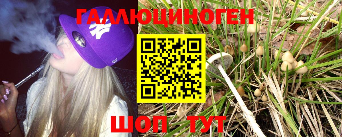 Псилоцибиновые грибы мицелий Вязники