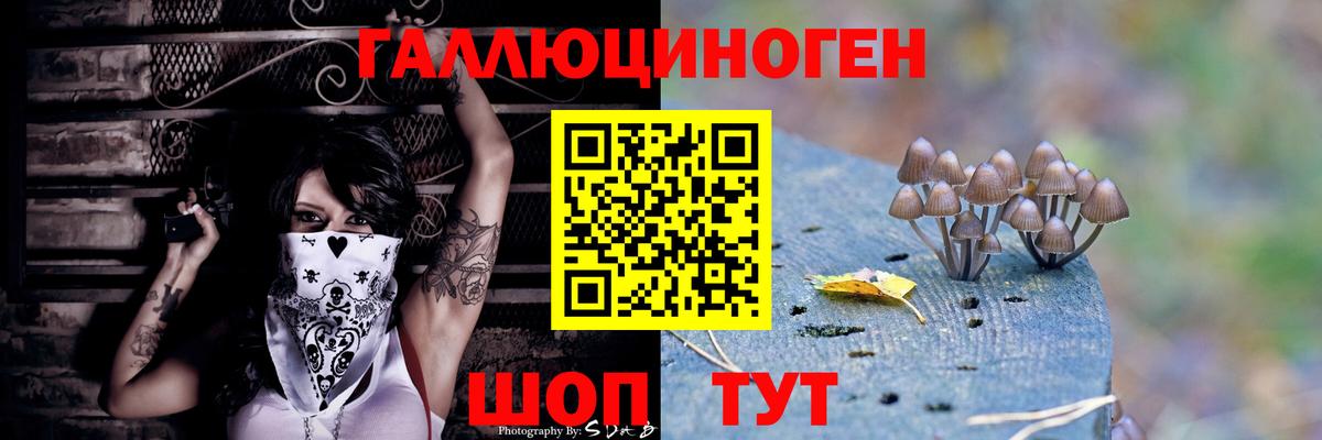 Псилоцибиновые грибы прущие грибы  Вязники  Галлюциногенные грибы ЛСД 